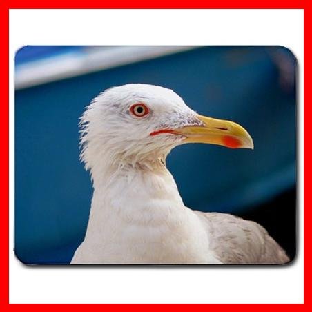 Herring Gull Bird Animal Fun Mouse Pad MousePad Mat 136