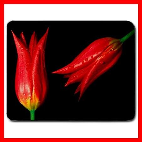 Flowers Red Hot Tulips Mouse Pad MousePad Mat 139