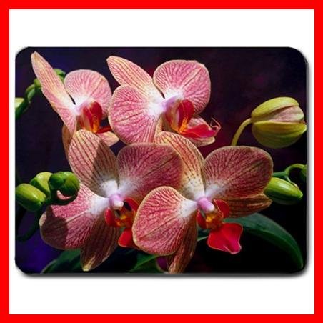 Flowers Orchids Flower Hobby Mouse Pad MousePad Mat 140