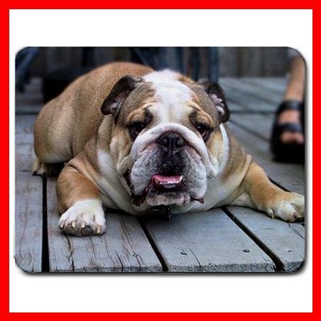 English Bulldog Dog Puppy Mouse Pad MousePad Mat 143