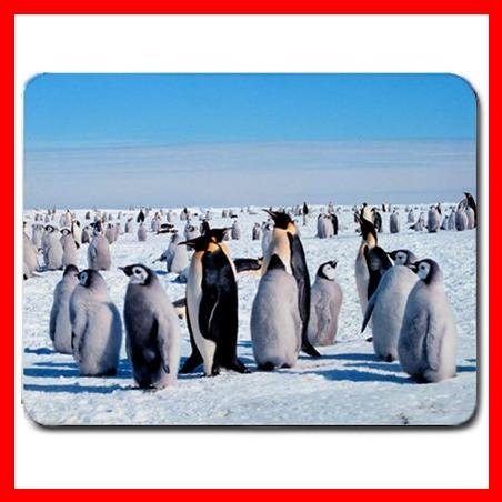 Emperor Penguins Bird Animal Mouse Pad MousePad Mat 144