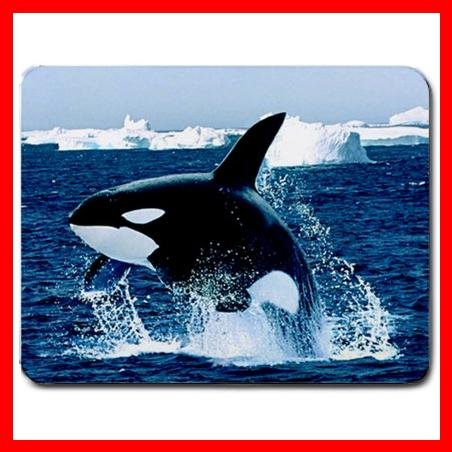 Emerging Killer Whale Animal Mouse Pad MousePad Mat 145