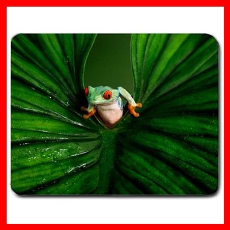 Red Eyed Tree Frog Animal Mouse Pad MousePad Mat 147