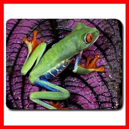 Red Eyed Tree Frog Central America Mouse Pad MousePad Mat 148