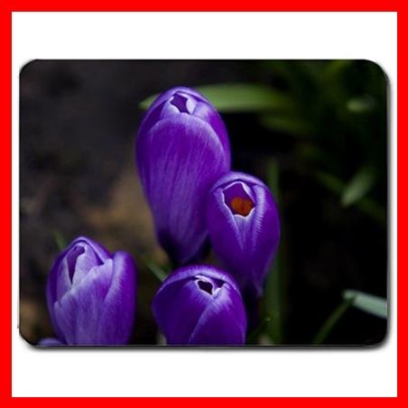 Purple Crocus Flowers Mouse Pad MousePad Mat 151