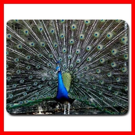 Peacock Wildlife Bird Animal Mouse Pad MousePad Mat 153