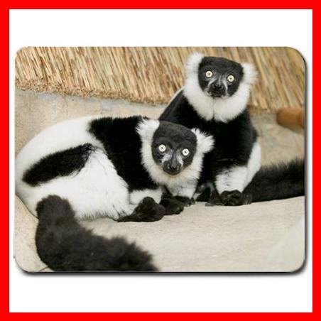 Lemures Animal Hobby Mouse Pad MousePad Mat 159