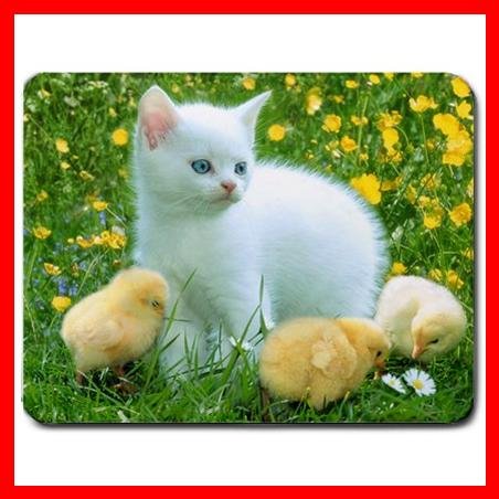 Cat and Chicken Mouse Pad MousePad Mat 162