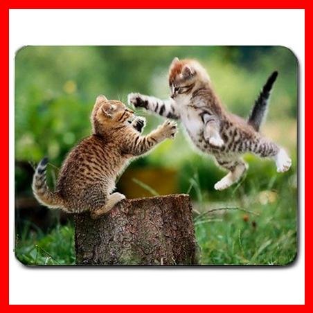 Kittens Cat Playing Animal Mouse Pad MousePad Mat 163