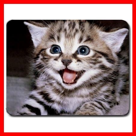 Khout Kitten Cat Pet Animal Mouse Pad MousePad Mat 164