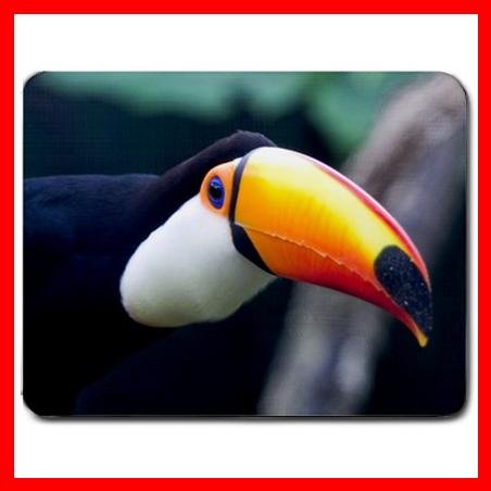 Toucan Bird Wildlife Animal Mouse Pad MousePad Mat 171