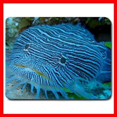 Toad Fish Sea Hobby Mouse Pad MousePad Mat 172