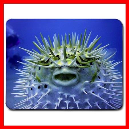 Puffer Fish Marine Animal Mouse Pad MousePad Mat 173