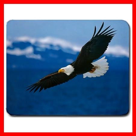 Steaming Eagle Bird Animal Hobby Mouse Pad MousePad Mat 176