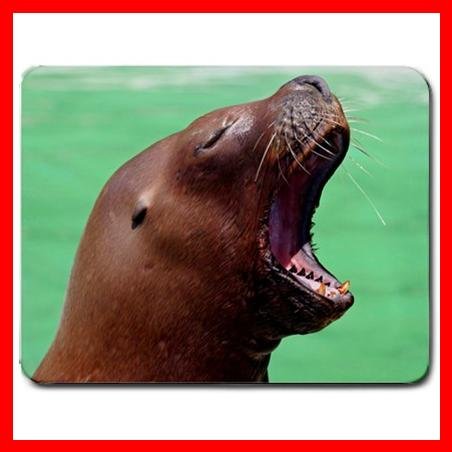 Sea Lion Yawn Wild Animal Mouse Pad MousePad Mat 178