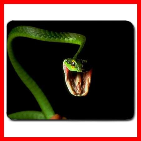 Snake Reptiles Animal Hobby Mouse Pad MousePad Mat 181