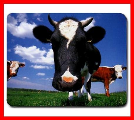 Cow Wildlife Animal Hobby Mouse Pad MousePad Mat 187