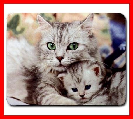 Cat Cats Family Love Pet Mouse Pad MousePad Mat 188