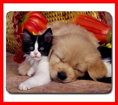 Cat Dog Friendship Animal Mouse Pad MousePad Mat 189
