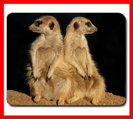 MEERKATS Wildlife Animal Mouse Mouse Pad MousePad Mat 194
