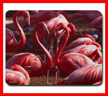 Pink Flamingo Wildlife Bird Mouse Mouse Pad MousePad Mat 205