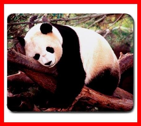 Sleeping Panda Cute Animal Mouse Mouse Pad MousePad Mat 206