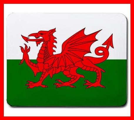 Welsh Flag Country Hobby Fun Mouse Mouse Pad MousePad Mat 215