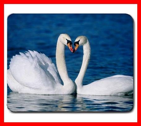 Two Swan Kissing Hobby Mouse Pad MousePad Mat 227