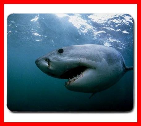 Great White Shark Gansbaai Mouse Pad MousePad Mat 229