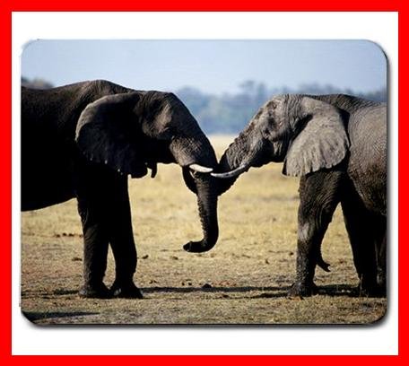 Two Elephant Greeting Mouse Pad MousePad Mat 232