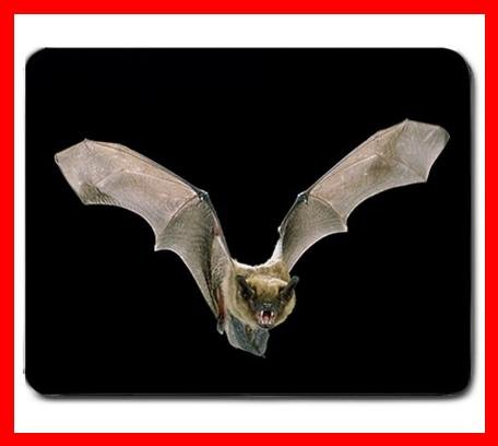 Rare Bat Flying In Dark Hobby Mouse Pad MousePad Mat 233