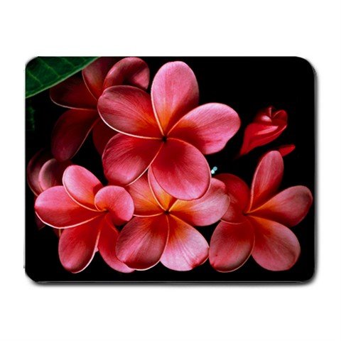 Pink Plumerias Frangipani Flower Fun Mouse Pad MousePad Mat 239