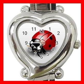 Cute Ladybug Bug Insect Hobby Italian Charm Wrist Watch 014