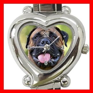 Bullmastiff Dog Pet Hobby Italian Charm Wrist Watch 061