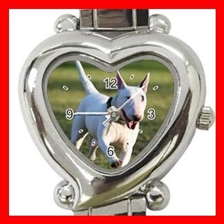 Bull Terrier Dog Pet Hobby Italian Charm Wrist Watch 062