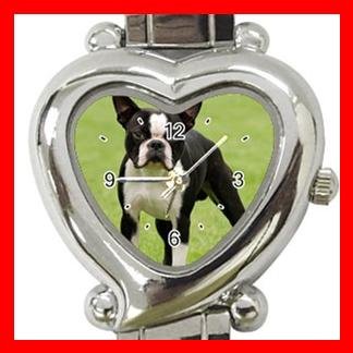 Boston Terrier Dog Pet Hobby Italian Charm Wrist Watch 063