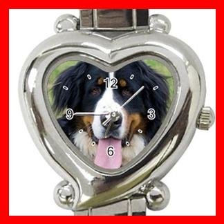 Bernese Mountain Dog Pet Hobby Italian Charm Wrist Watch 065