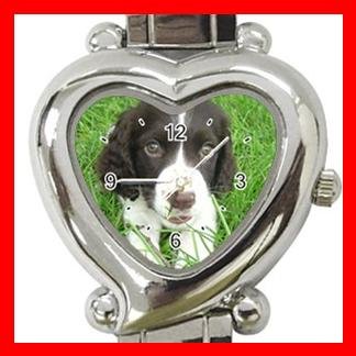 English Spring Spaniel Dog Pet Hobby Italian Charm Wrist Watch 069