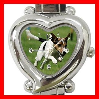 Jack Russell Dog Pet Hobby Italian Charm Wrist Watch 078
