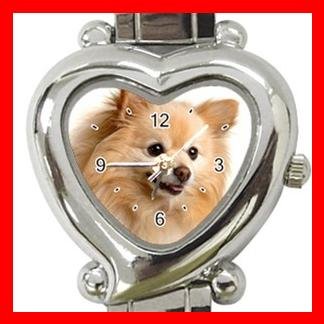 Pomeranian Dog Pet Hobby Italian Charm Wrist Watch 089
