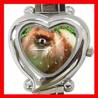 Pomeranian Dog Pet Hobby Italian Charm Wrist Watch 090