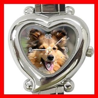 Shetland Sheepdog Dog Pet Hobby Italian Charm Wrist Watch 093