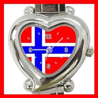 Norway Flag Patriot Italian Charm Wrist Watch 098