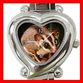 Sugar Glider Animal Italian Charm Wrist Watch 106