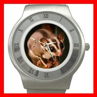 Sugar Glider Animal Hobby Stainless Steel Wrist Watch Unisex 106