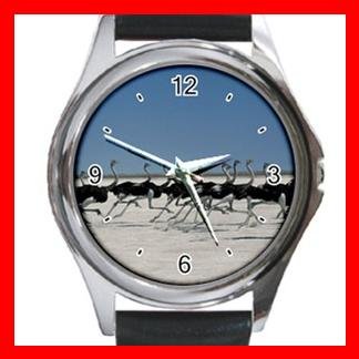 Ostriches Troops Birds Round Metal Wrist Watch Unisex 071