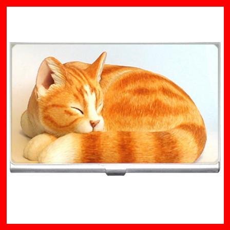 Ginger Cat Sleeping Animals Hobby Business Credit Card Case 07