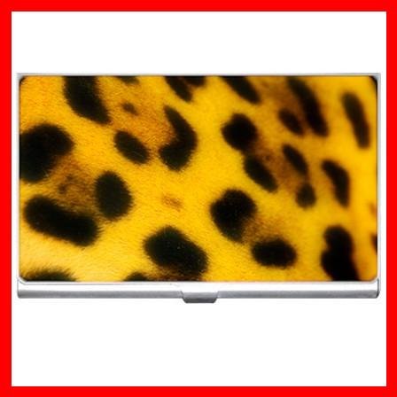 Tiger Print Wild Animal Business Credit Card Case 34