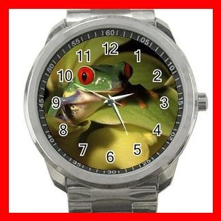 Tree Frog from Costa Rica Silvertone Sports Metal Watch 073