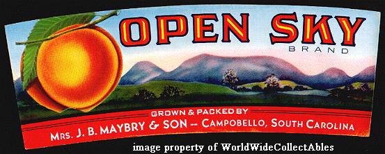 Beautiful OLD S. Carolina OPEN SKY PEACH Basket Label